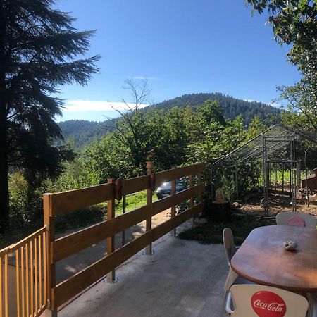 Chambre Dans Les Cevennes Concoules Εξωτερικό φωτογραφία