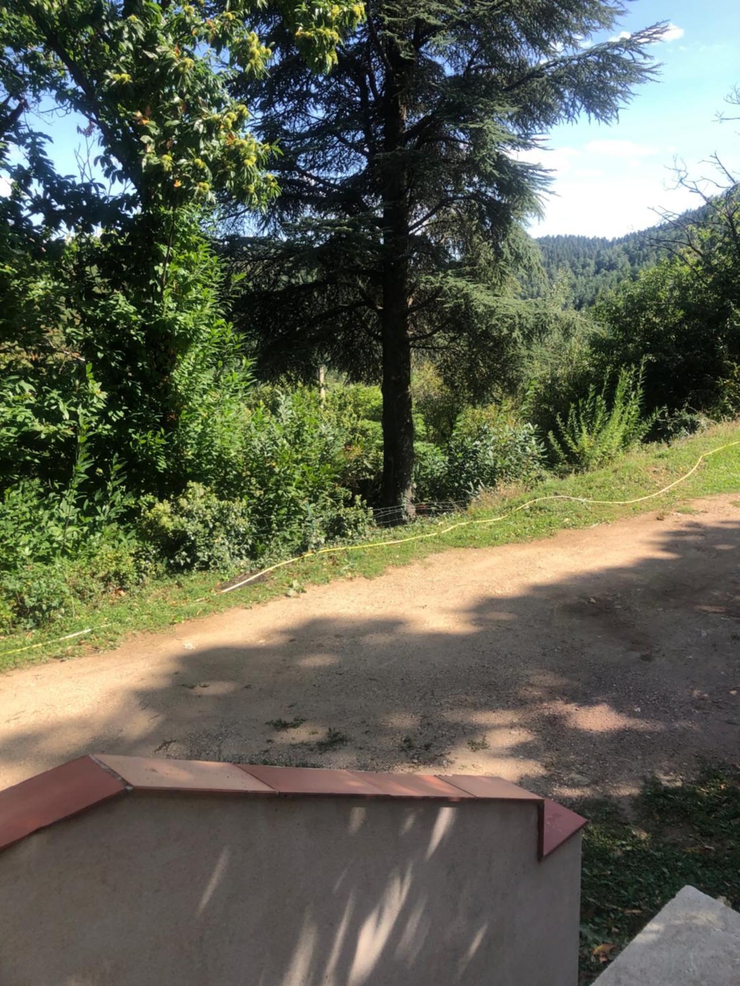 Chambre Dans Les Cevennes Concoules Εξωτερικό φωτογραφία